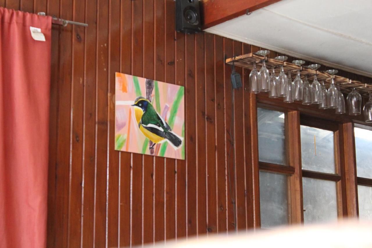 Casa Piwke Acomodação com café da manhã Coyhaique Exterior foto